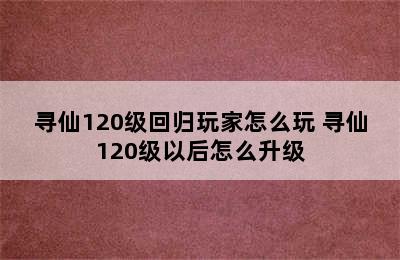 寻仙120级回归玩家怎么玩 寻仙120级以后怎么升级